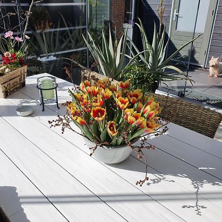 B&B Modern Times Amsterdam Exteriér fotografie