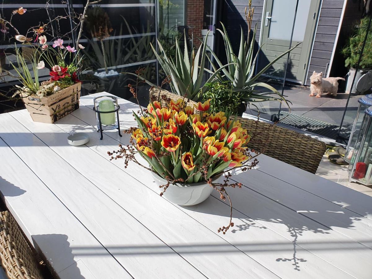 B&B Modern Times Amsterdam Exteriér fotografie